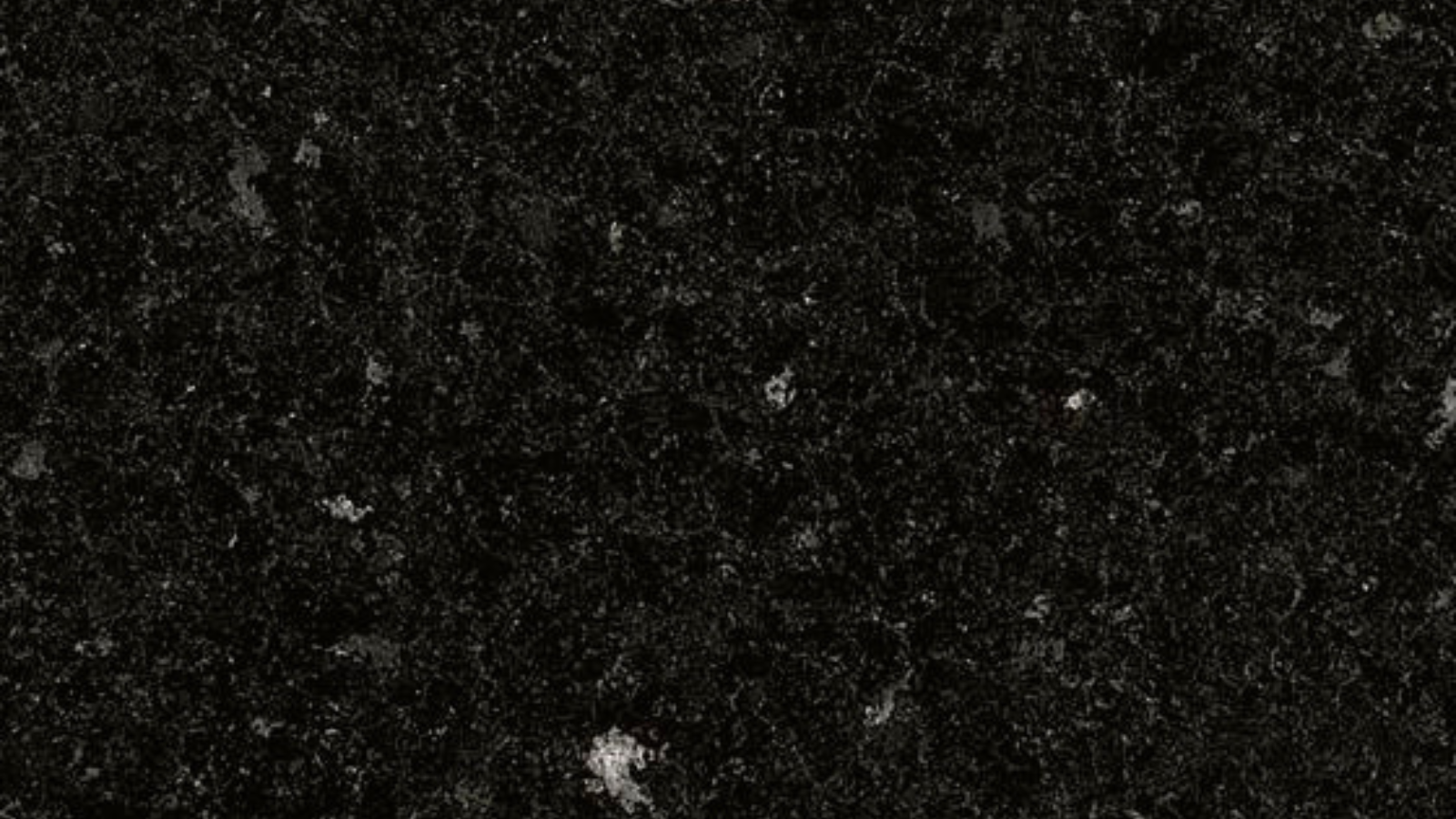 Black Cosmos