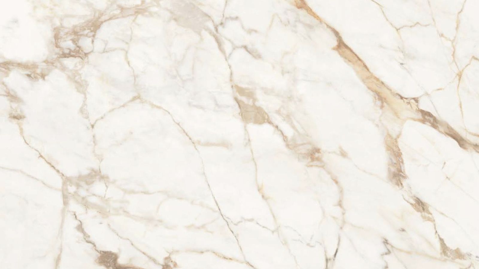 Calacatta Gold