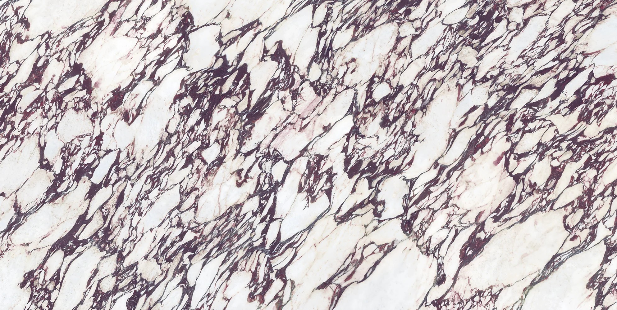 Calacatta Viola 1