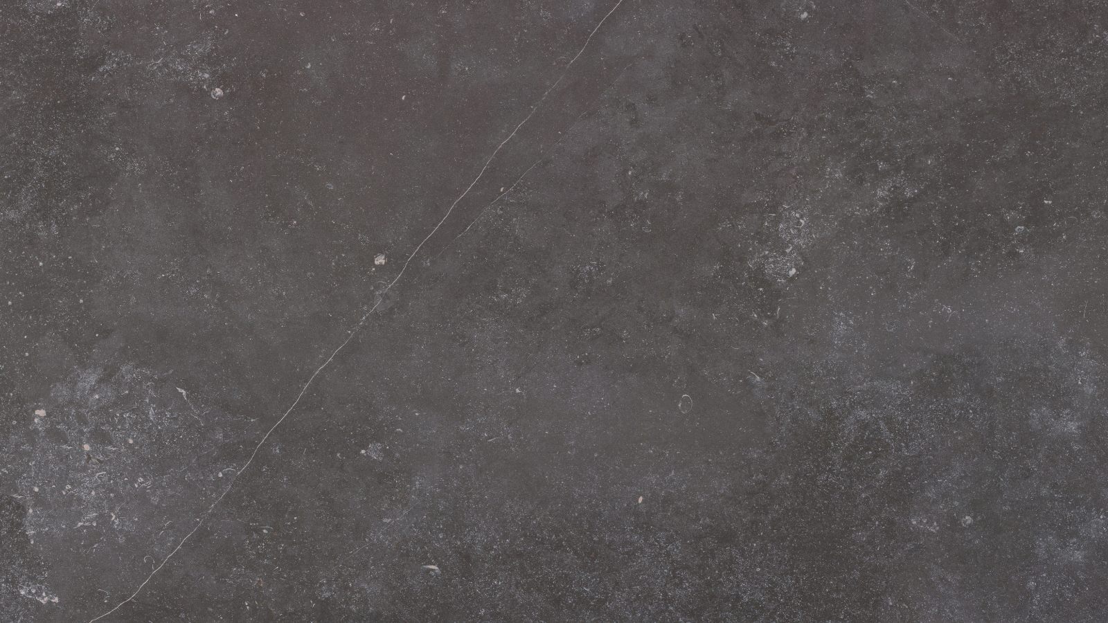 Dekton Fossil