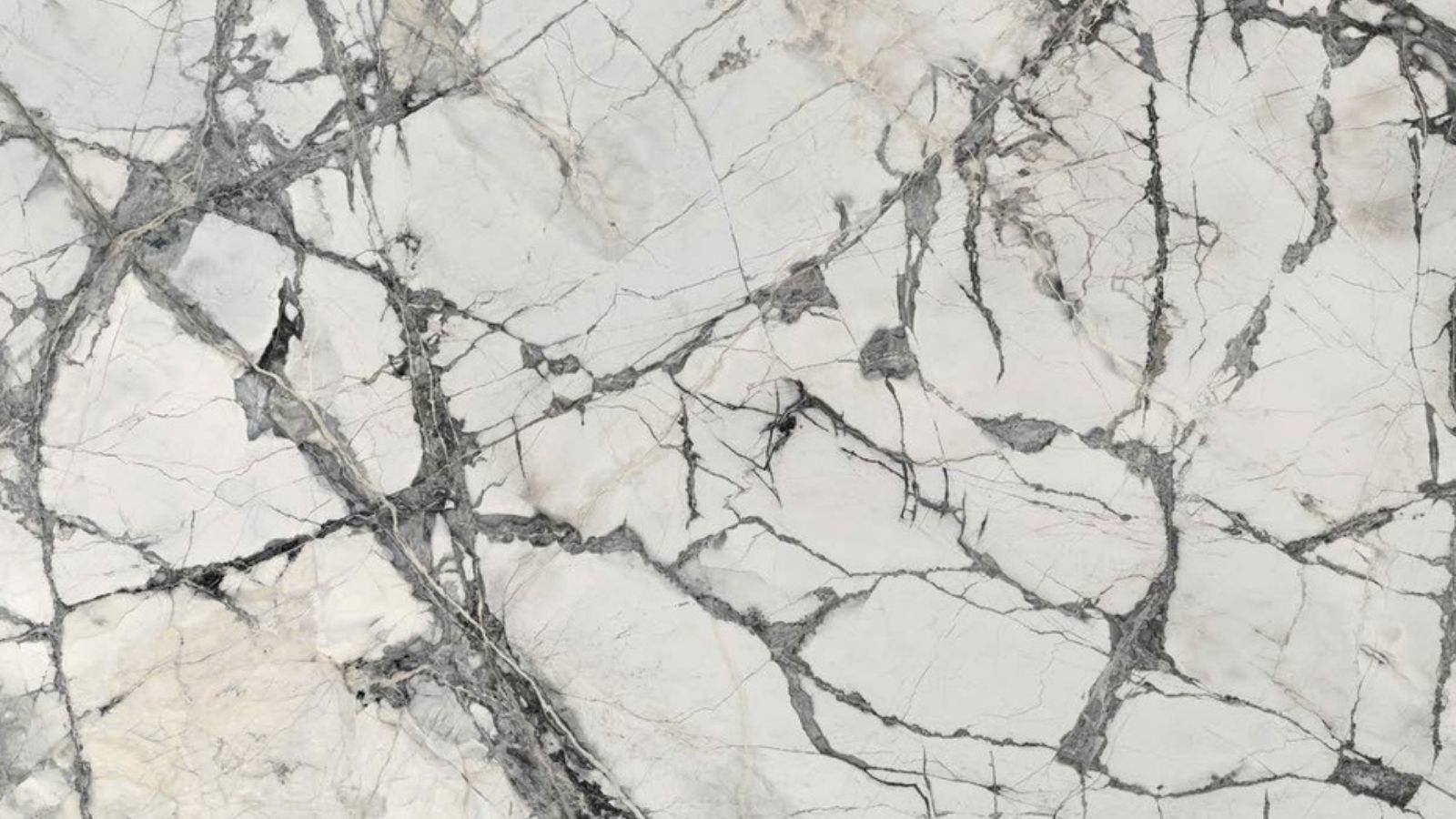 Invisble white