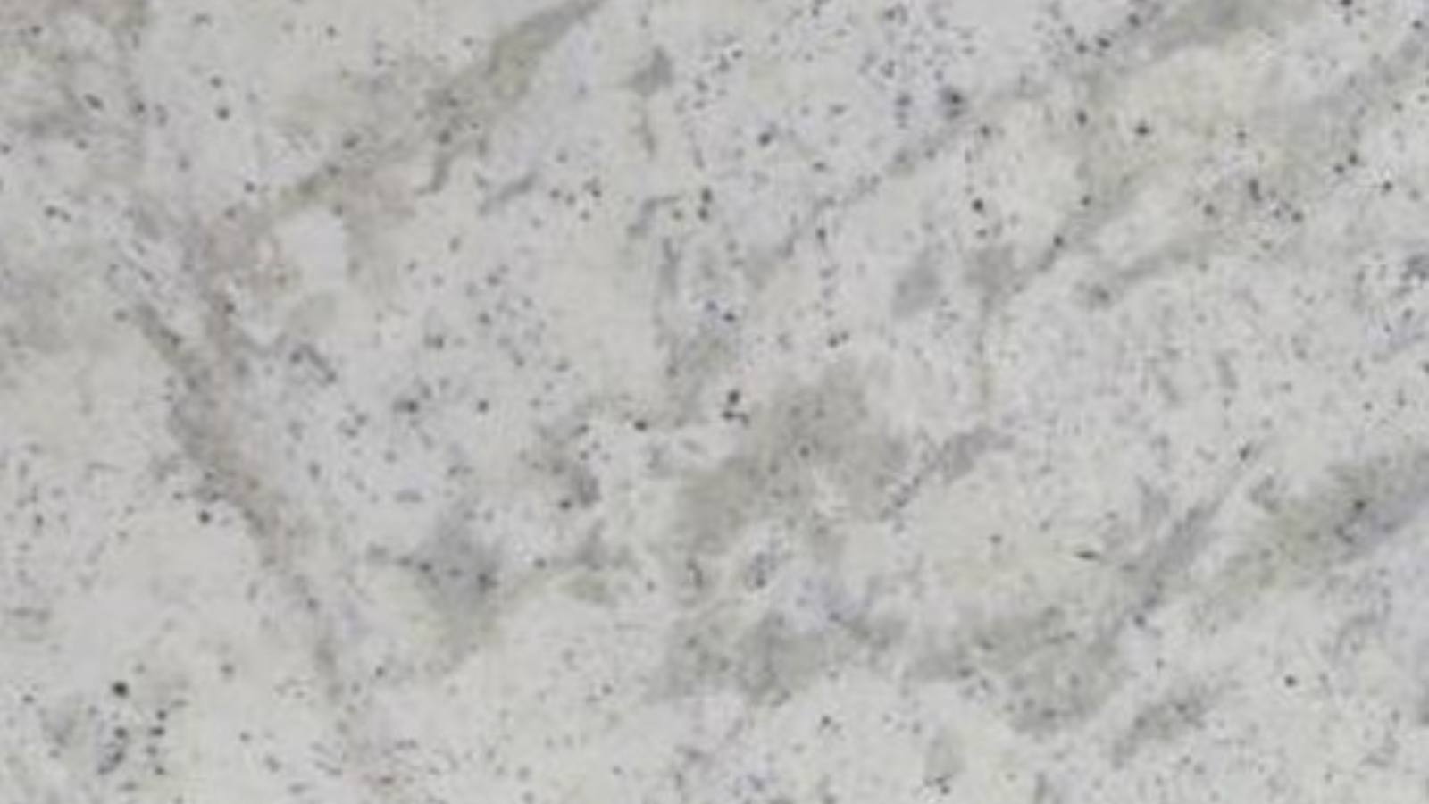 Kashmire white Andromeda White