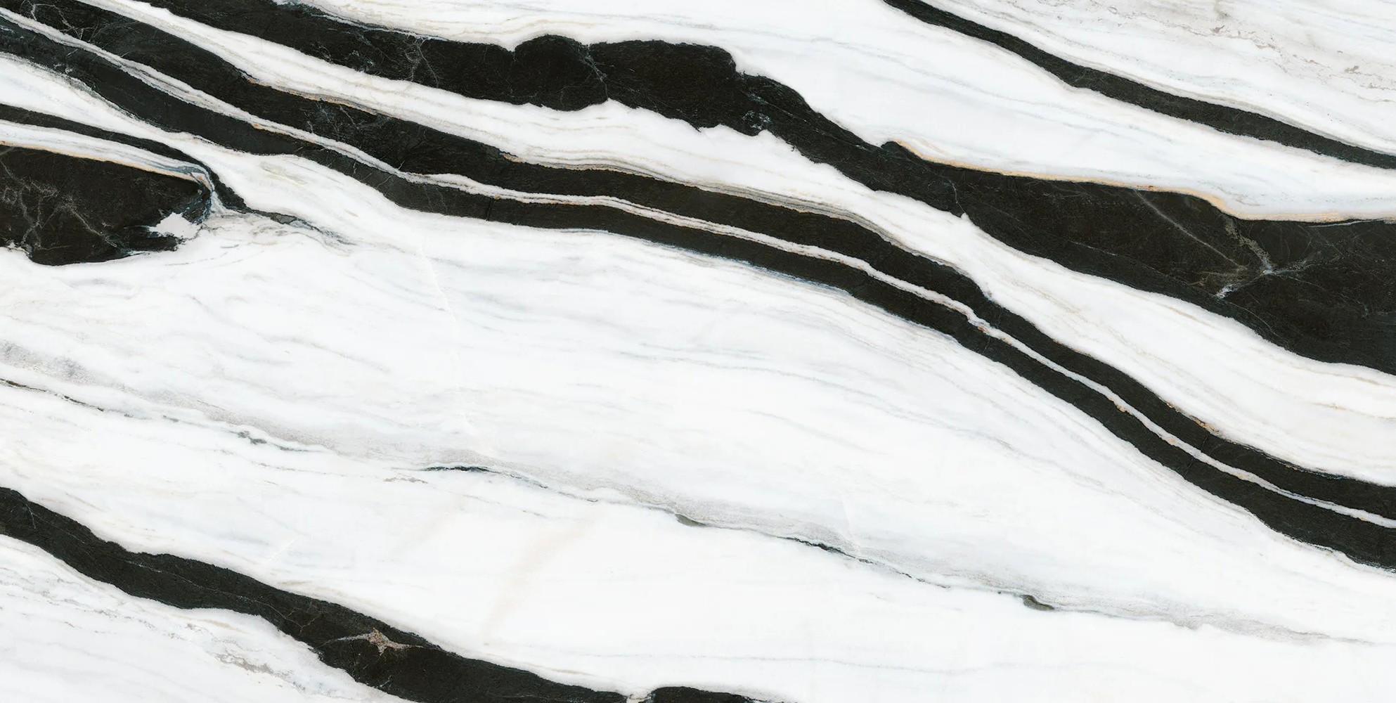Panda White