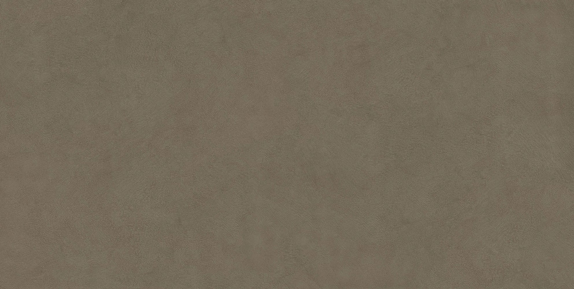 Plaster Ash