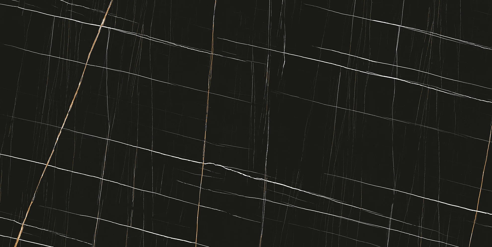 Sahara Noir