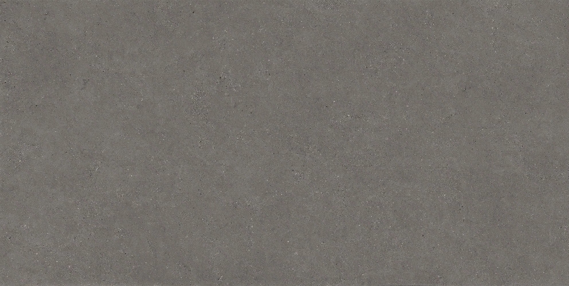 Sandstone Warm