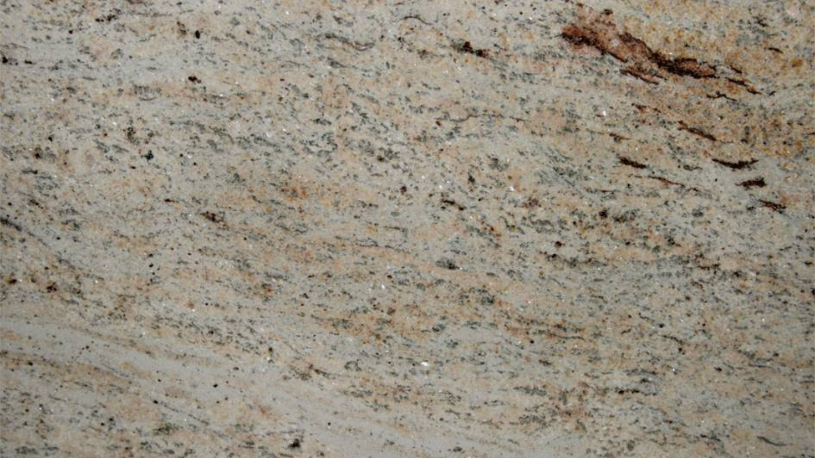 Shivakashy Ivory Brown Astoria