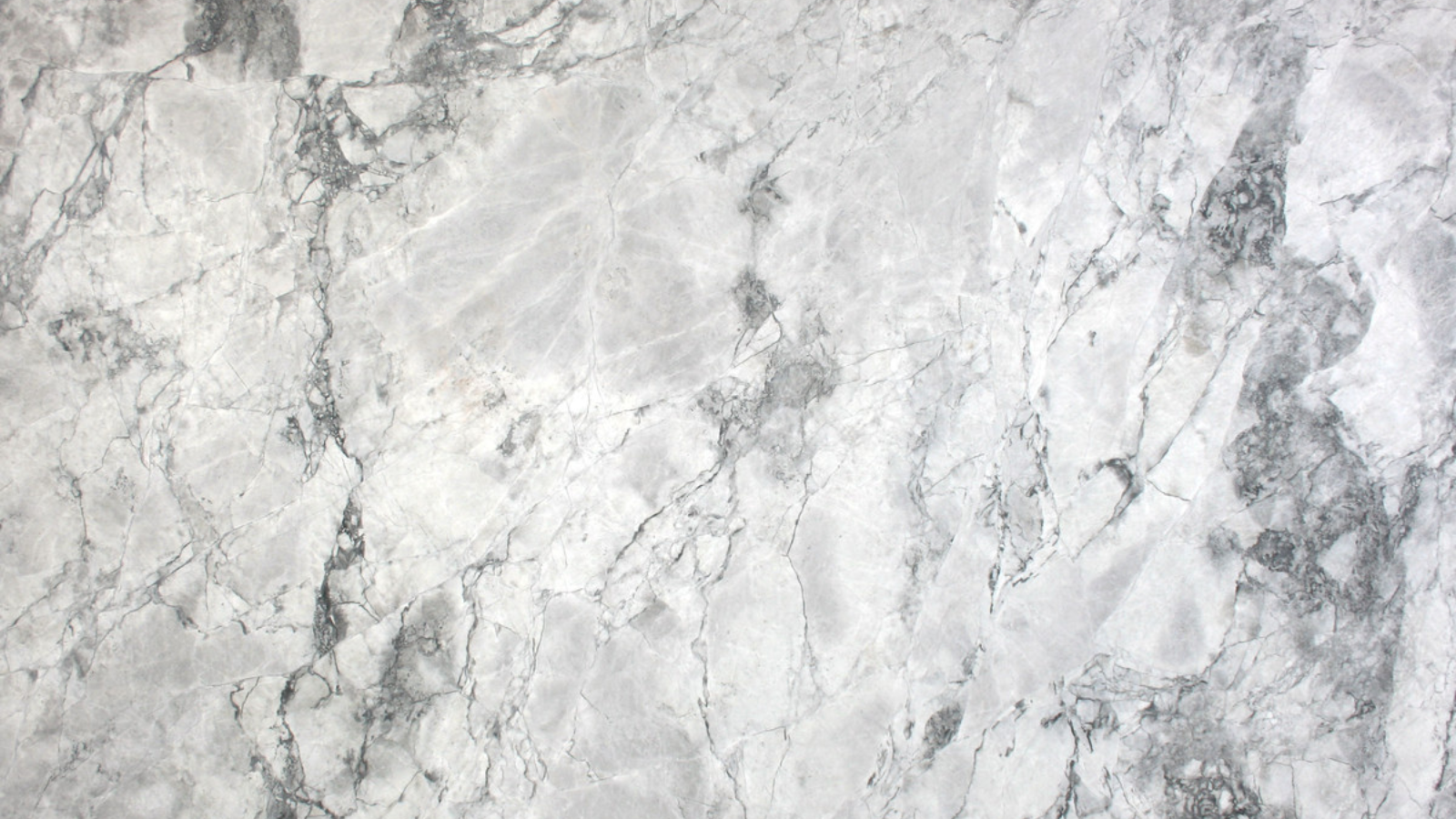 Super White Calacatta